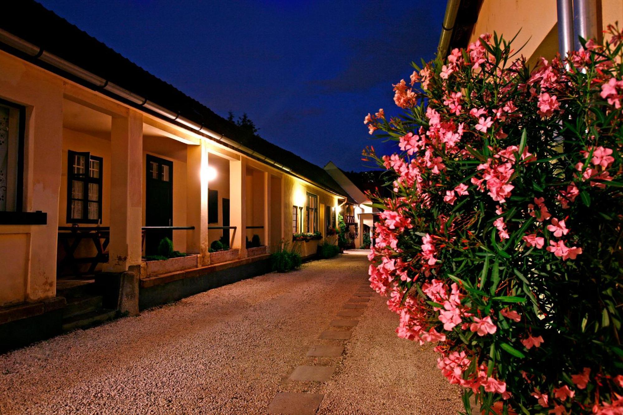 Keszi Panzio Hotel Budakeszi Exterior foto